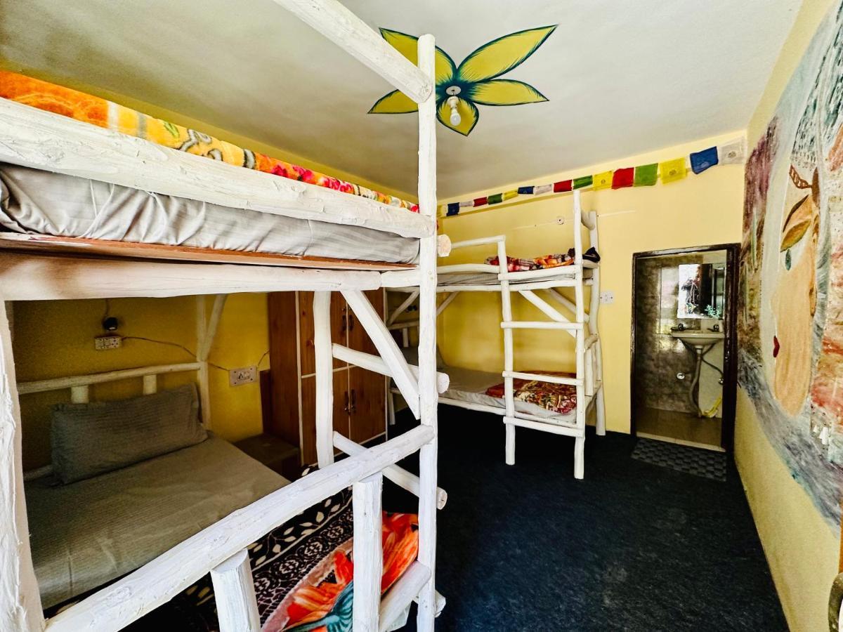 Hostel 360 Degree Manali  Luaran gambar