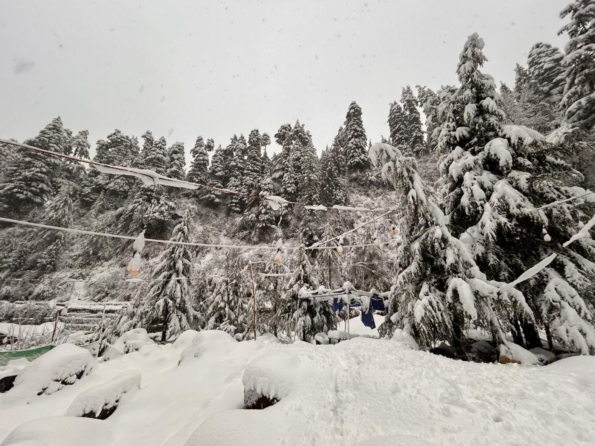 Hostel 360 Degree Manali  Luaran gambar
