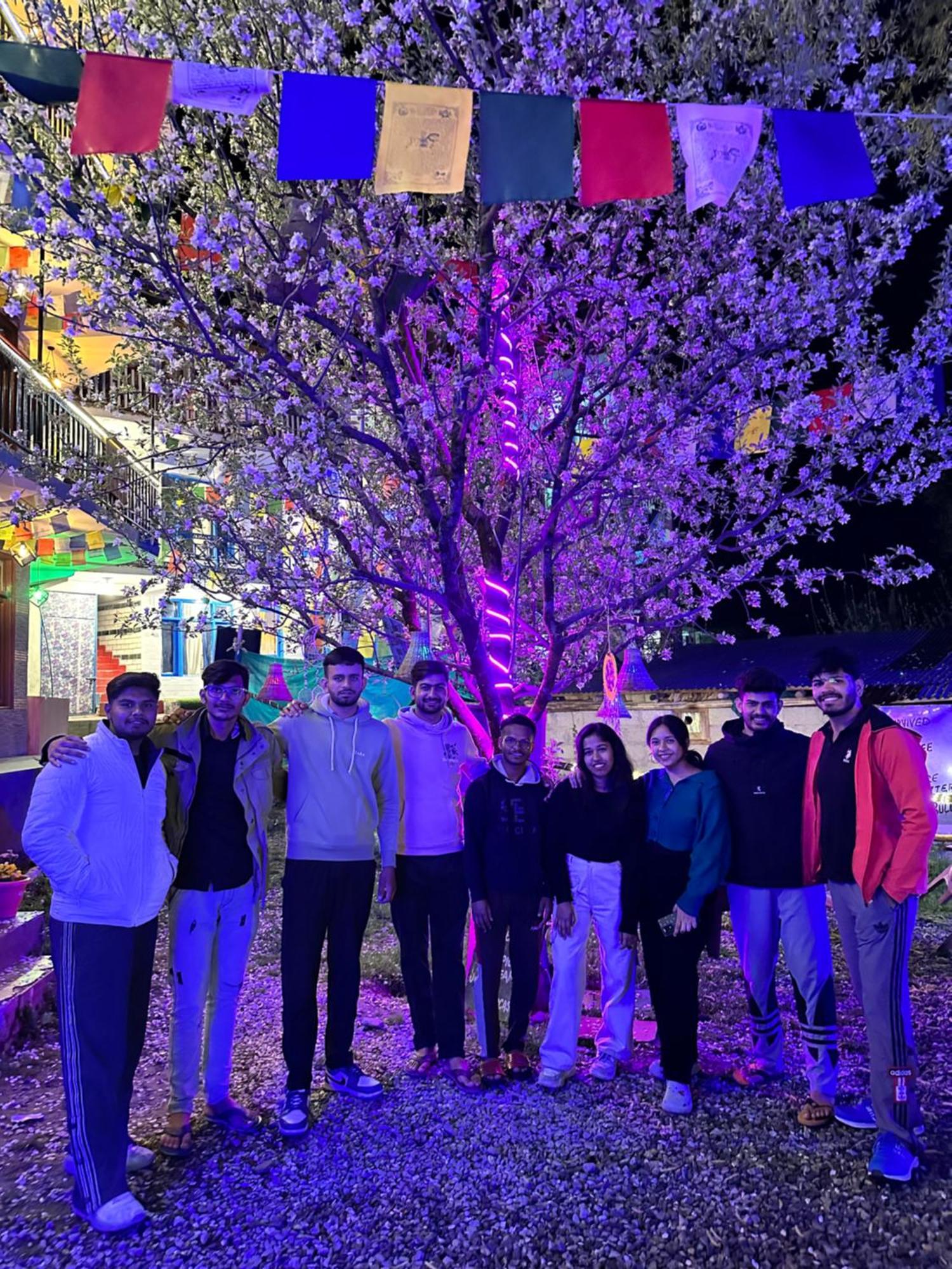 Hostel 360 Degree Manali  Luaran gambar