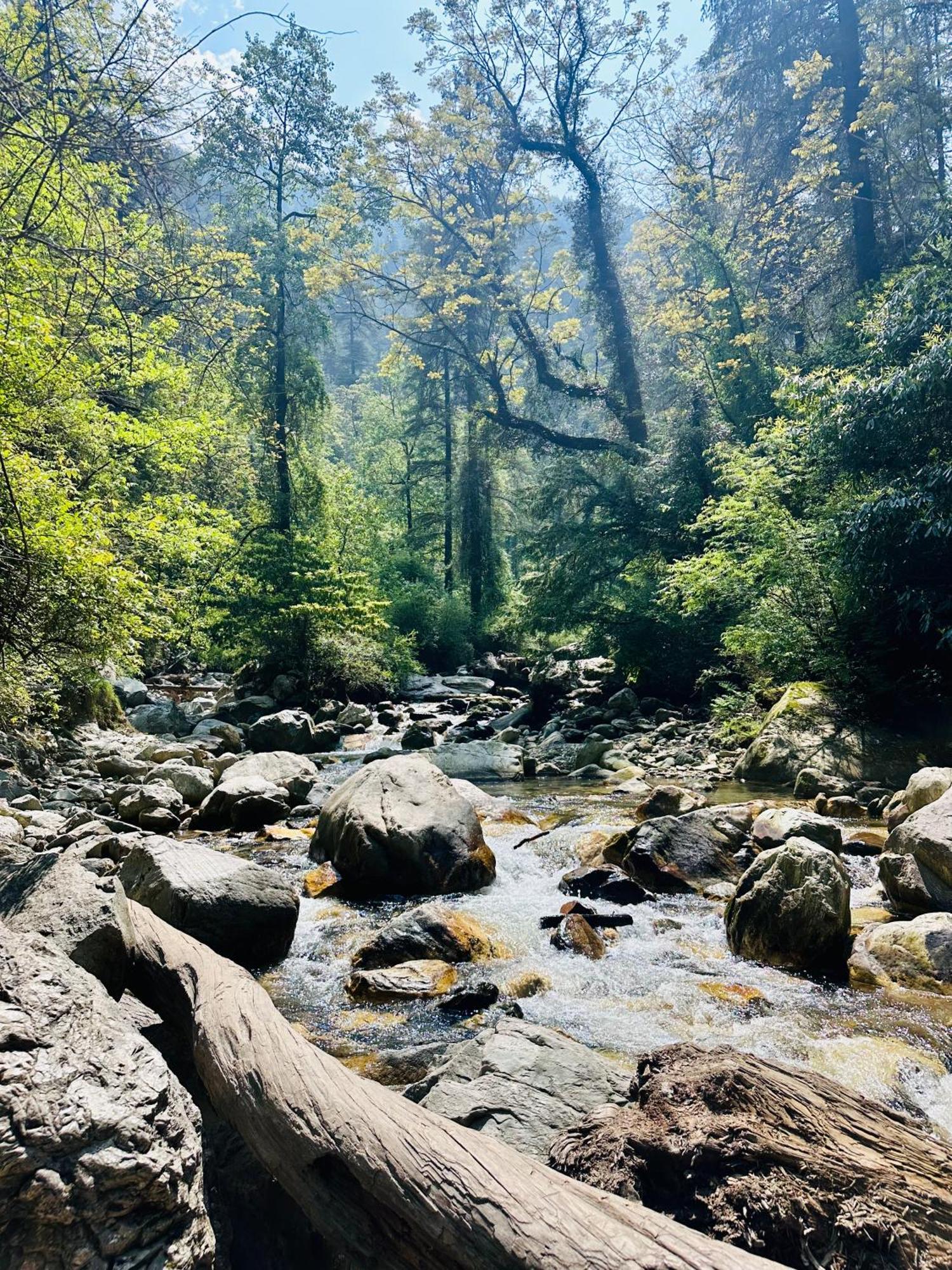 Hostel 360 Degree Manali  Luaran gambar